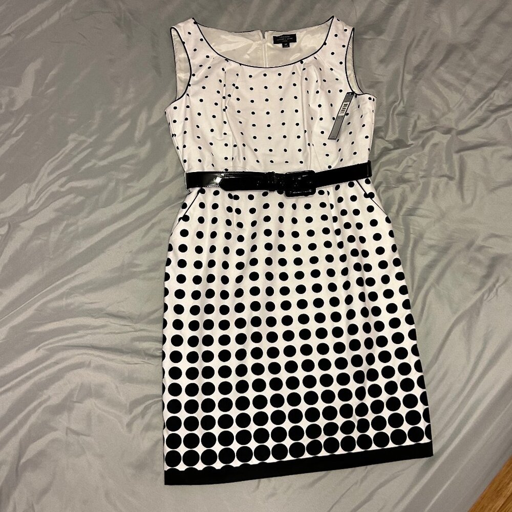 Tahari Belted Polka Dot Dress NEW